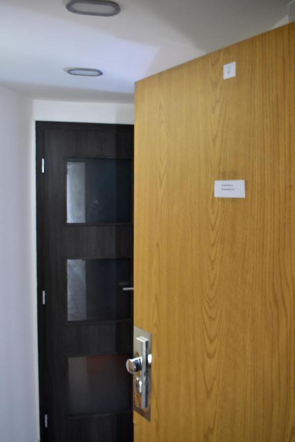 New Central Rooftop With Private Wellness, Sauna & Whirlpool Bath Prag Exteriör bild